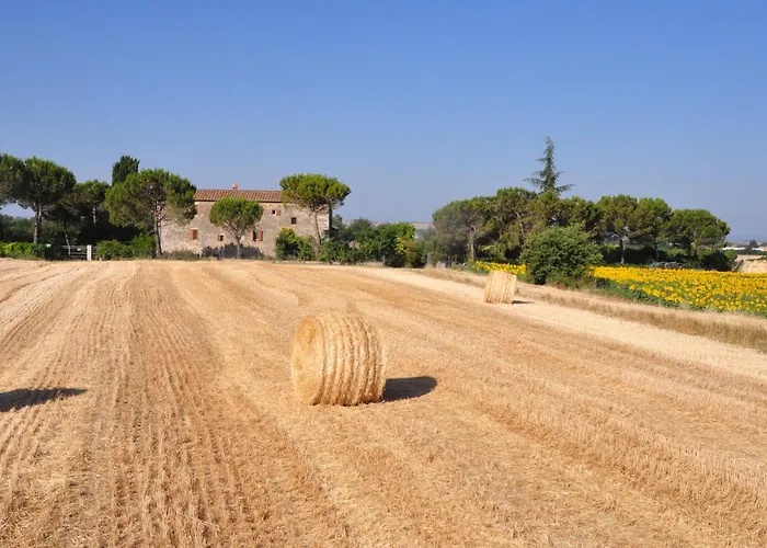 B&B Il Molinello