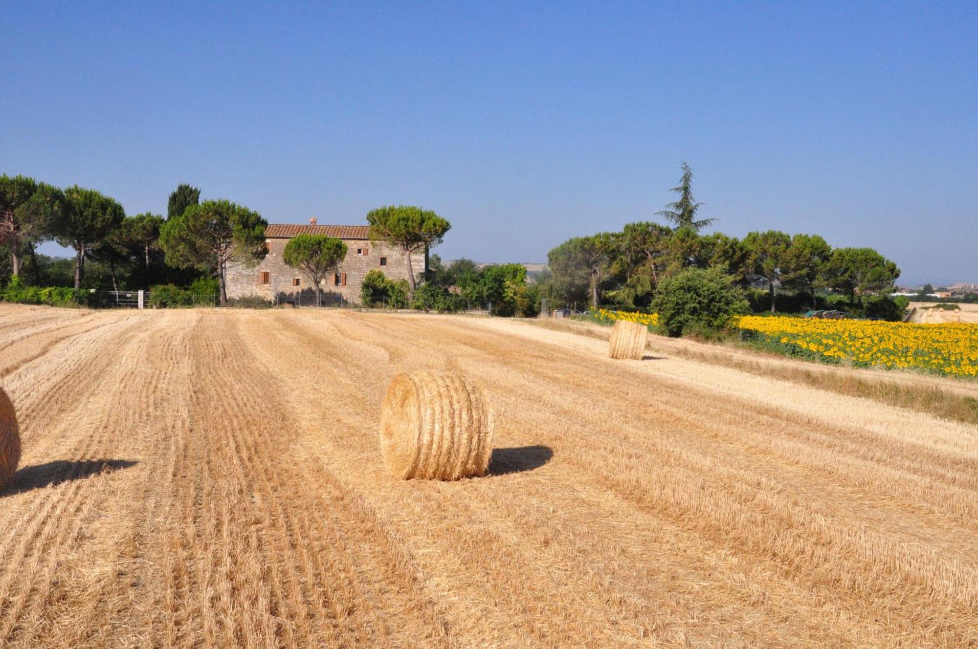 Il Molinello Casa de Campo *