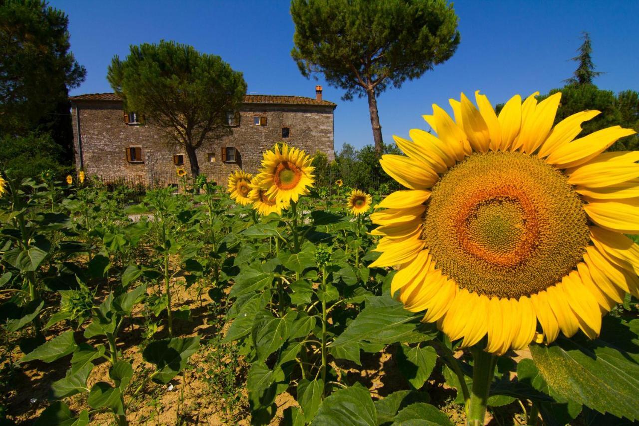 Il Molinello Asciano